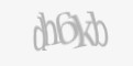 Қорғаныс коды